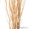 Uniquewise 12 pcs Natural Decorative Dry Branches Authentic Willow Sticks, 59 in, peeled white QI004415.WT.60 - alternate 7